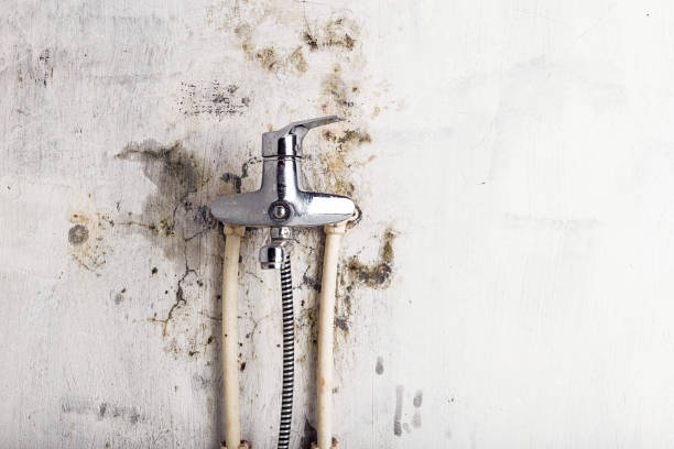 Best Office Mold Removal Services  in East Hemet, CA