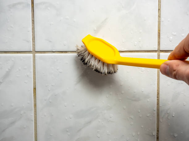 Best Certified Mold Removal  in East Hemet, CA